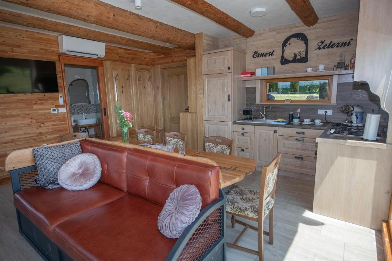 Holiday Home Ernest Zelezni With Hot Tub Ivancna Gorica المظهر الخارجي الصورة