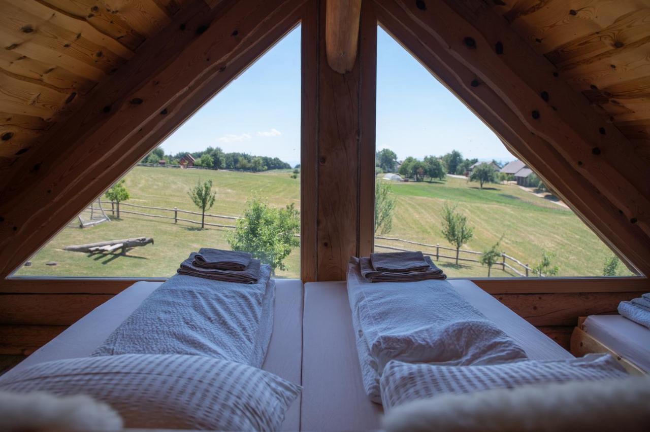 Holiday Home Ernest Zelezni With Hot Tub Ivancna Gorica المظهر الخارجي الصورة